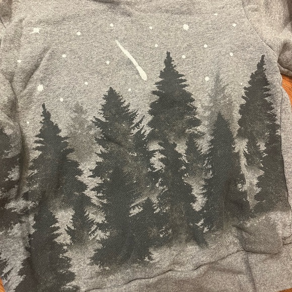 Tea Collection Other - Tea Collection Boys’ Size 5 Gray Sweatshirt with Forest Design